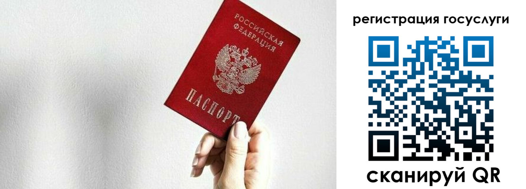 прописка гарантия в Торопеце